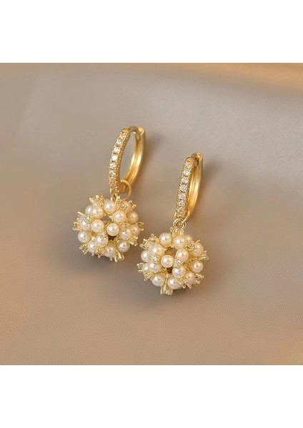 Hengshan Yeni Zarif Küpeler, Popüler Internet Ünlü Küpeleri, Üst Düzey Küpeler, Kişiselleştirilmiş Moda Küpeler (Yurt Dışından)