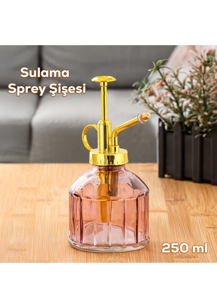 Vintage Cam Bitki Sulama Şişesi Oda Kokusu Dağıtıcı Çok Amaçlı Sprey Şişe 250 ml Mor