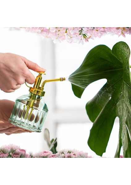 Vintage 2'li Cam Bitki Sulama Şişesi Oda Kokusu Dağıtıcı Çok Amaçlı Sprey Şişe Seti 250 ml Yeşil