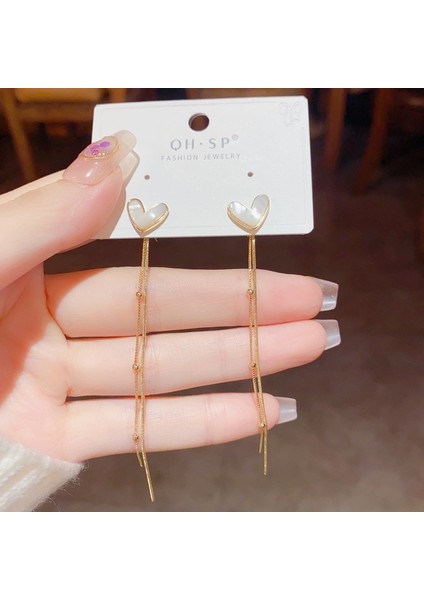 Hengshan Popüler 925 Gümüş Iğne Küpe Klasik Geometrik Uzun Püskül Küpe (Yurt Dışından)