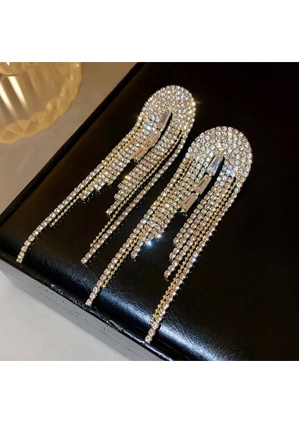 Hengshan Üst Düzey ve Atmosferik Internet Ünlü Mizaç Küpeleri Avrupa ve Amerikan Modası Abartılı Elmas Taklidi Uzun Püskül Küpeler (Yurt Dışından)