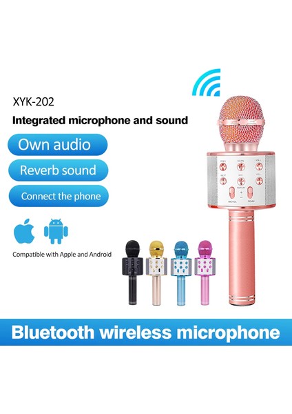 Bluetooth Karaoke Mikrofon-Findit