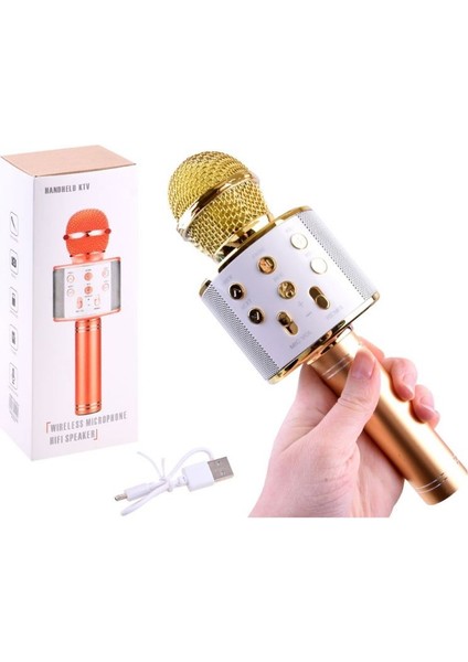 Bluetooth Karaoke Mikrofon-Findit