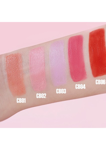 Kadife Yapılı Mat Ve Pigmentli Kalıcı Tint Ruj ve Allık CB01 Powder Peach (Nötr) - 2.3 gr modelleri