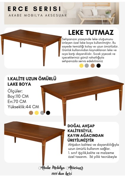 Erce Serisi Modern Tasarım Kayın Ağacından Ceviz Ahşap Renk Orta Sehpa