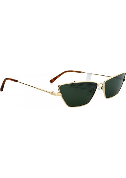 U.s Polo Güneş Gözlüğü- Polarize USS0399 C5