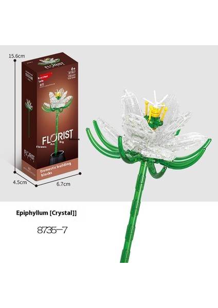 Yapı Taşları Çiçek Küçük Peletler Puzzle Yapboz Hediye (Yurt Dışından)
