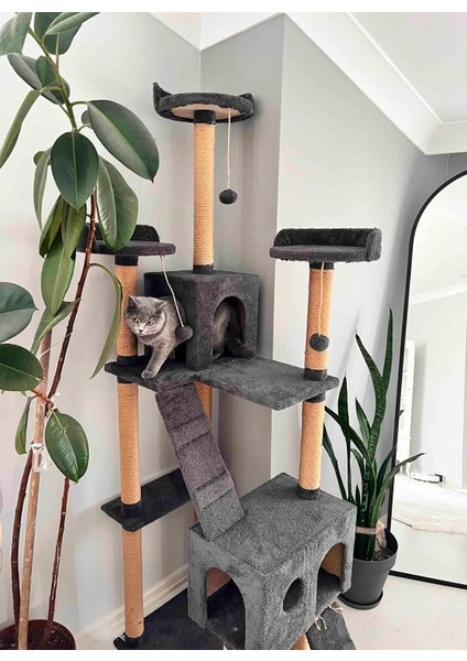 Cat City Yeni Rezidans Kedi Oyun Evi Ve Tırmalaması