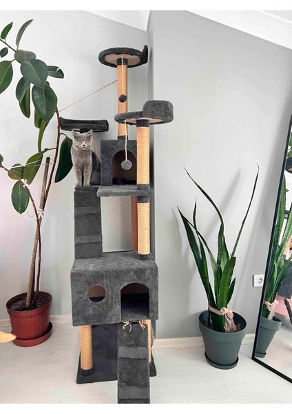 Cat City Yeni Rezidans Kedi Oyun Evi Ve Tırmalaması fiyatları