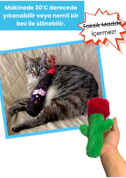 2'Li Kedi Oyuncak Seti Mama Saklamalı Peluş Gül Ve Catnipli Hışırtı Sesi Çıkaran Peluş Şişe