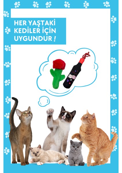 2'Li Kedi Oyuncak Seti Mama Saklamalı Peluş Gül Ve Catnipli Hışırtı Sesi Çıkaran Peluş Şişe