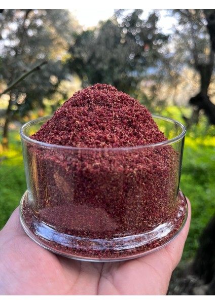 Hatay Doğal Sumak (500 GR)