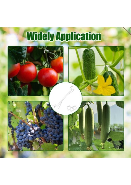 Ipli Domates Kancaları, Bitki Destek Klipsleri, Tırmanıcı Bitkiler Için Domates Destek Kancası, Domates Tutucu Kancaları (Yurt Dışından) fiyatları