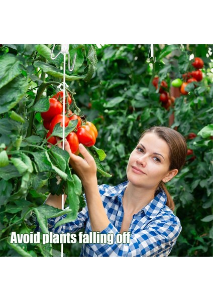 Ipli Domates Kancaları, Bitki Destek Klipsleri, Tırmanıcı Bitkiler Için Domates Destek Kancası, Domates Tutucu Kancaları (Yurt Dışından) modelleri