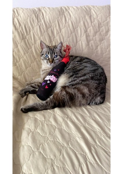 Meowine Catnipli Peluş Kedi Oyuncağı Hışırtı Sesli Peluş Kedi Oyuncağı Kediler İçin Kicker Oyuncak