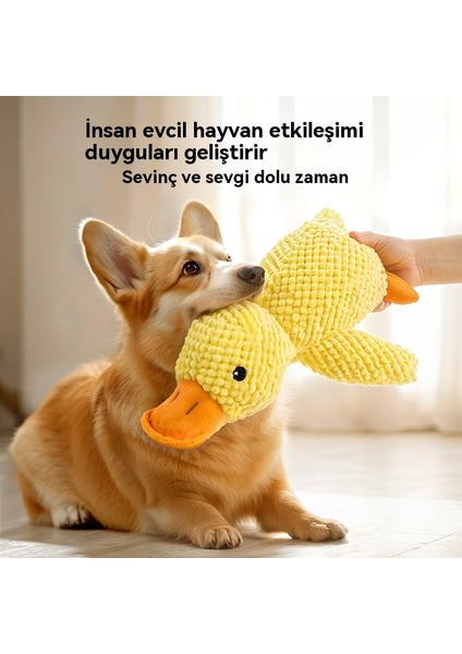 Köpek Oyuncak Peluş Uyku Küçük Sarı Ördek Isırmaya Da Lı Oyuncak (Yurt Dışından)