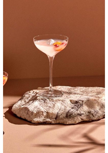 Nude Kristal Terroir Kokteyl Kadehi 67144 185 cc 6 Lı fiyatları