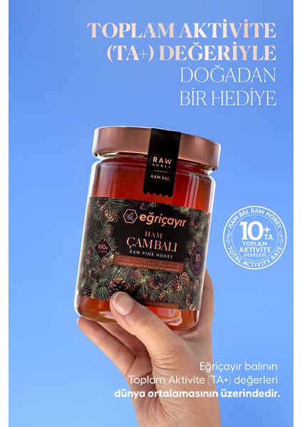Ham Çam Balı TA10+ 850G (Hakiki, Doğal)