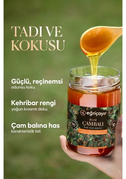 Ham Çam Balı TA10+ 3X850G (Doğal, Hakiki) indirimleri