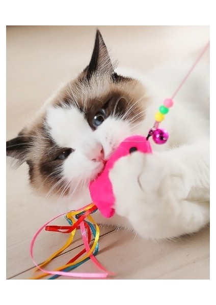 Balıklı Kedi Oyun Oltası fiyatları