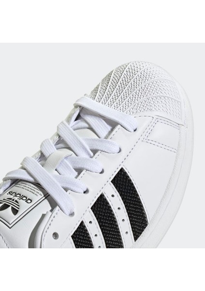 JP9678 Superstar Iı W Kadın Günlük Spor Ayakkabısı