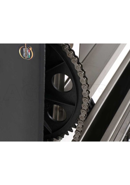 Grifo DVEP30I-SAP Alma ve Üzüm Patlatma Makinesi Pompalı