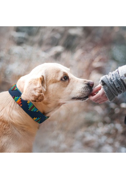El İşçiliği Hakiki Deri Köpek Tasması