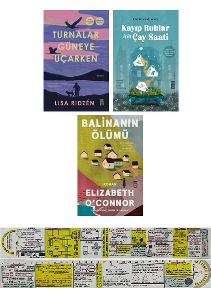 Turnalar Güneye Uçarken / Kayıp Ruhlar İçin Çay Saati / Balinanın Ölümü (Matematik Öğreten Cetvel)