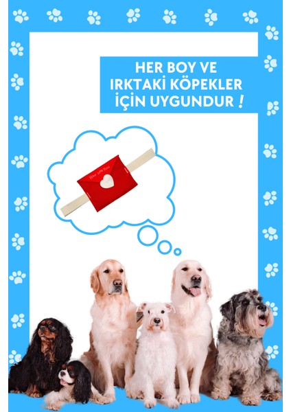 Köpek Çekiştirme Oyuncağı Peluş Mektup Özel Tasarım Çekiştirme İpli Köpek Oyuncağı fırsatları