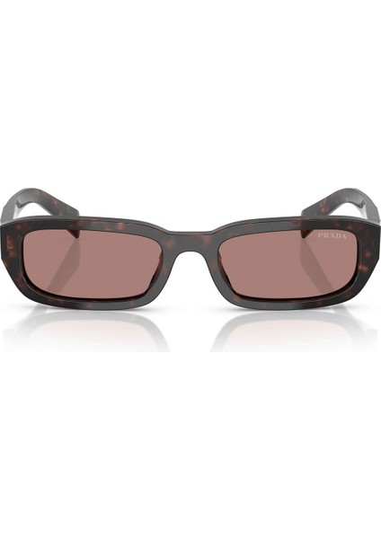 B06S 17N60B 53-19 Kadın Güneş Gözlüğü fiyatları