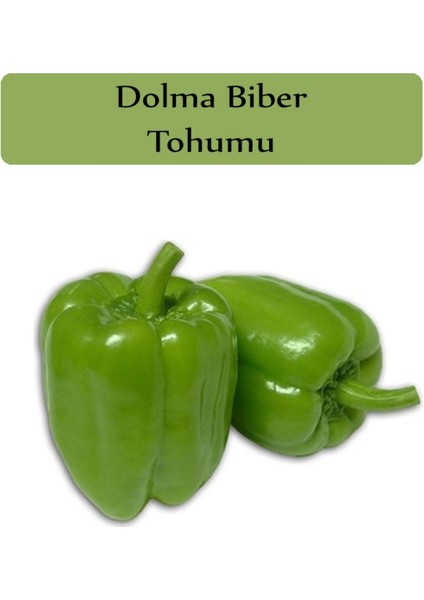 Biber Tohumu 1 Paket (10GR=1000+ Adet) Kandil Biberi Tohumu fiyatları
