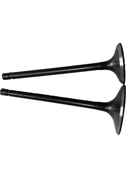 VTC EMME EGZOZ SÜBAP TAKIMI CG 250 TIRNAKLI