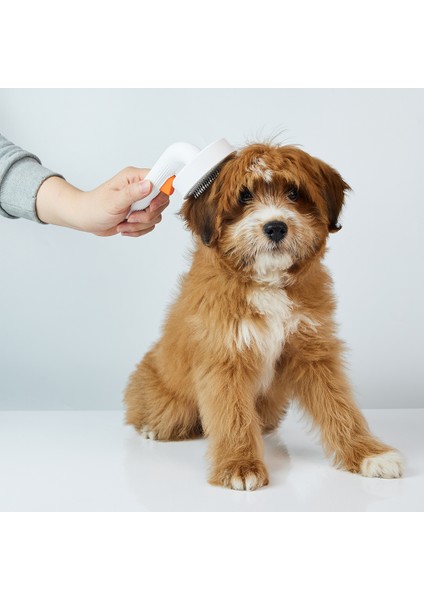 Tüy Toplayıcı Tarak 2, Ledli Kedi Tırnak Makası Pro, Tıraş Makinası Pro 2'si 1 Arada indirimleri