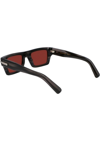 SF2034S 014 Unisex Güneş Gözlüğü fırsatları