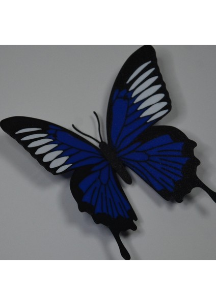 Kelebek Desenli Buzdolabı Magneti Lacivert - Beyaz