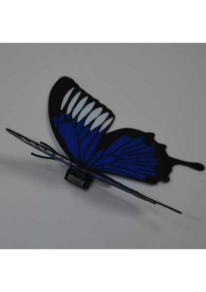 Kelebek Desenli Buzdolabı Magneti Lacivert - Beyaz fiyatları