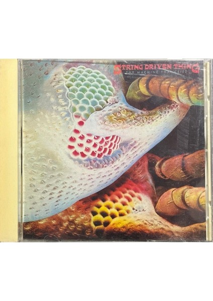 (Plak Değildir CD Dir) CD String Driven Thing The Machine That Cried CD