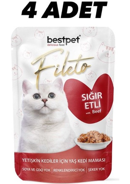 Yetişkin Kedi Konserveleri