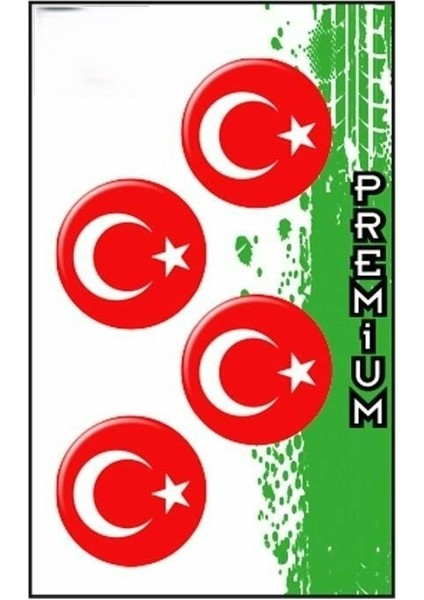 Gogo Türk Bayrağı 2 (3x3) Dörtlü Damla Etiket