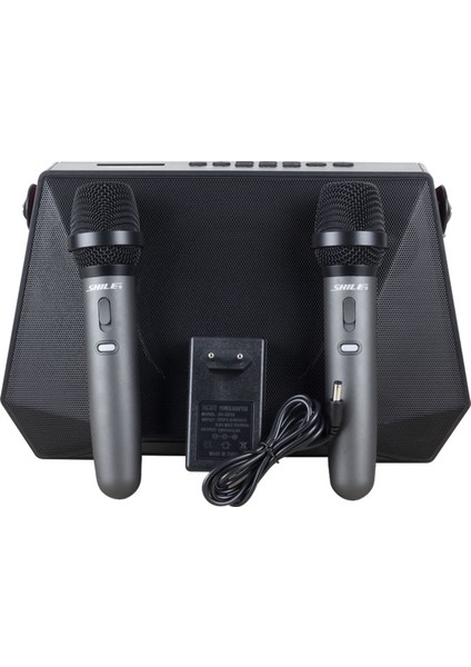 Shıle SL-3A Iki El Mikrofonlu Kumandalı Usb/sd/bt Portatif Hoparlör-Findit
