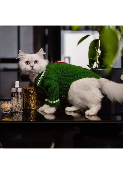 Kedi Köpek için Kurabiye Adam Yeşil Hırka