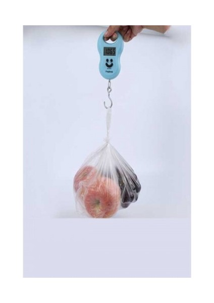 Taşınabilir Elektronik Tartı - 50 kg Kapasiteli modelleri