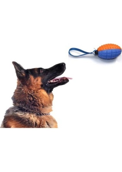 Köpek Diş Kaşıma Oyun Topu fiyatları