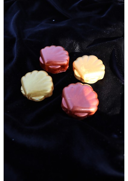 4 Lü Midye Magneti - Buzdolabı Magneti - Buzdolabı Süsü-Mıknatıslı Fotoğraf Tutucu Magnet