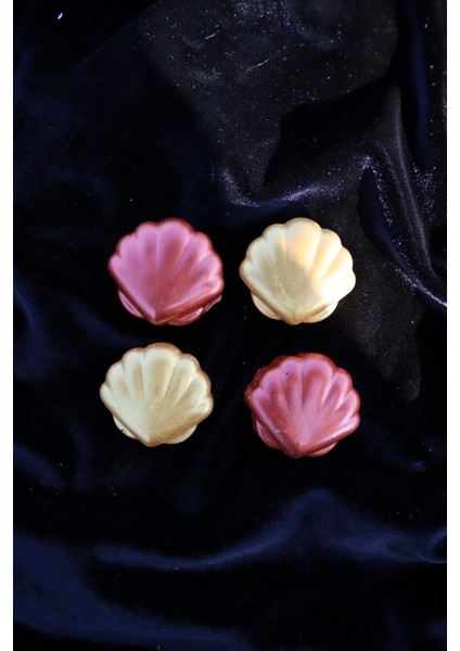 4 Lü Midye Magneti - Buzdolabı Magneti - Buzdolabı Süsü-Mıknatıslı Fotoğraf Tutucu Magnet fiyatları