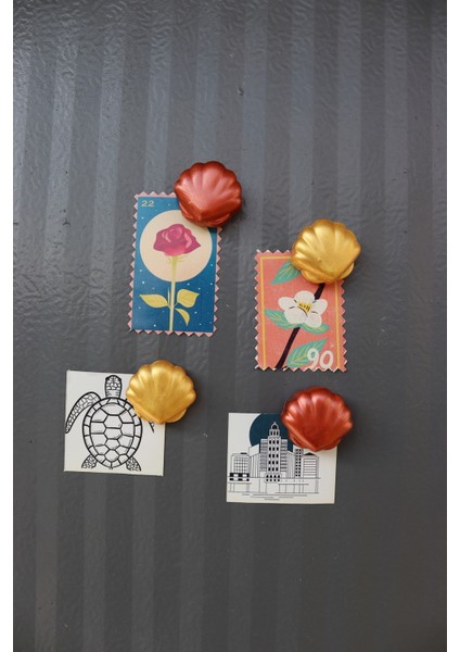 4 Lü Midye Magneti - Buzdolabı Magneti - Buzdolabı Süsü-Mıknatıslı Fotoğraf Tutucu Magnet modelleri