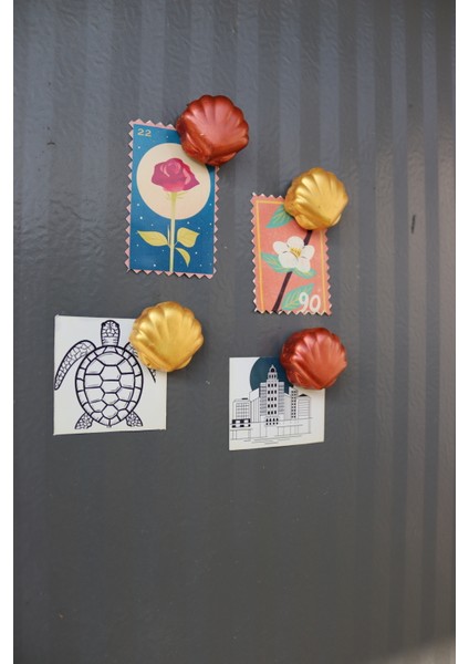 4 Lü Midye Magneti - Buzdolabı Magneti - Buzdolabı Süsü-Mıknatıslı Fotoğraf Tutucu Magnet fırsatları