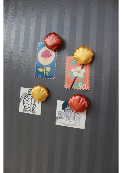 4 Lü Midye Magneti - Buzdolabı Magneti - Buzdolabı Süsü-Mıknatıslı Fotoğraf Tutucu Magnet indirimleri