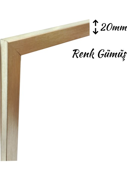 Poster Resim Evrak Diploma Çerçevesi Renk Gümüş Ön Yüzey Kırılmaz Pleksi Arka Ahşap Destek Mdf modelleri