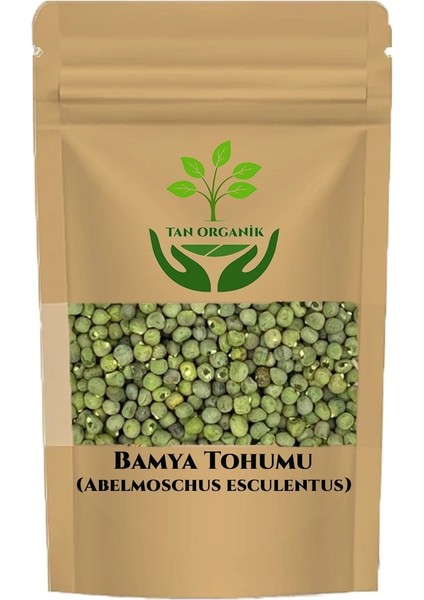 Bamya Tohumu 25gr